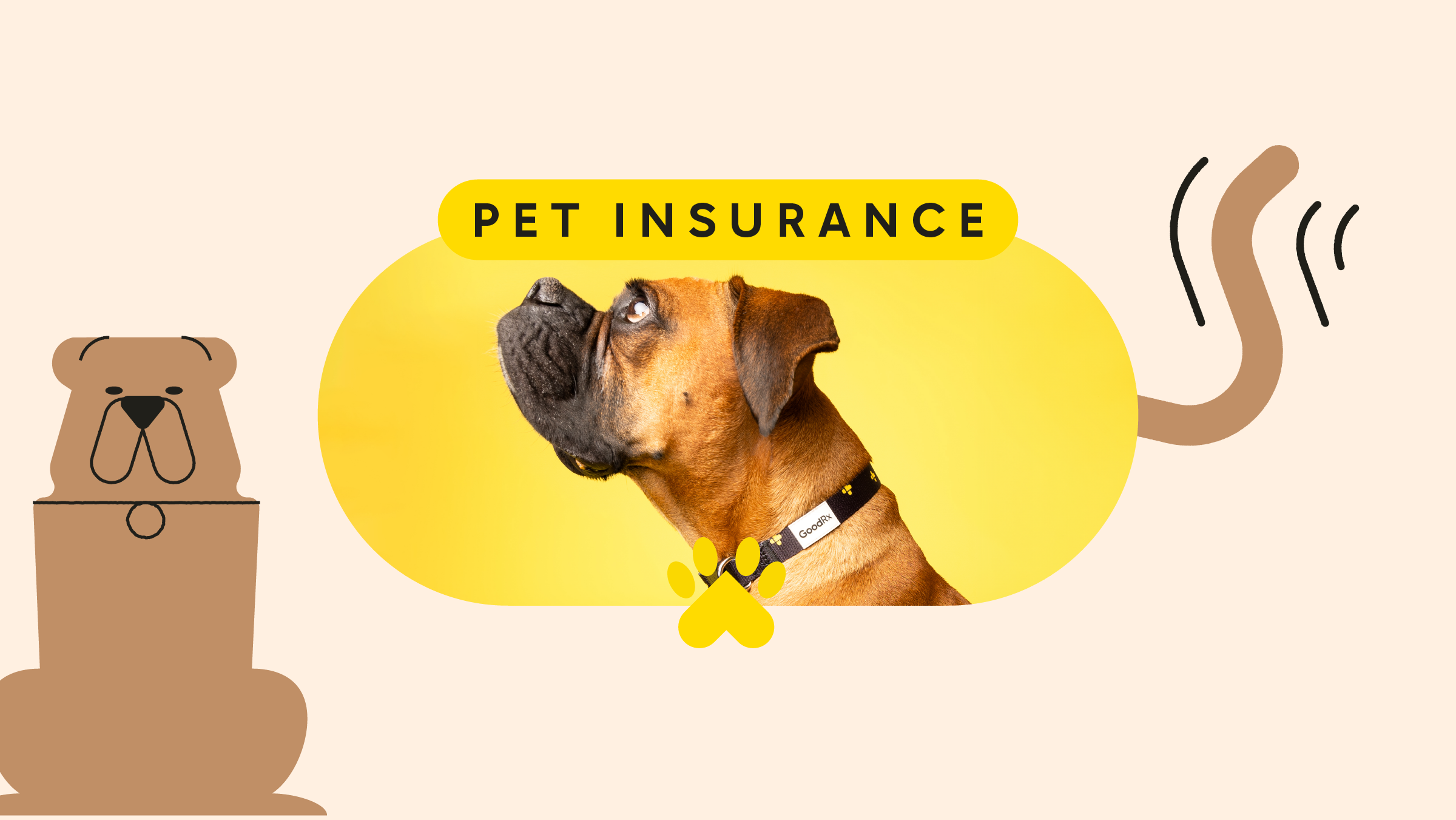 Pets Best Pet Insurance Review 2023 Ultimate Guide